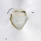 Dalle funÃ©raire, CathÃ©drale de Maguelonne